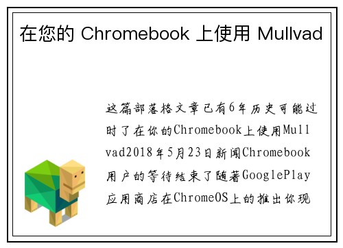在您的 Chromebook 上使用 Mullvad 